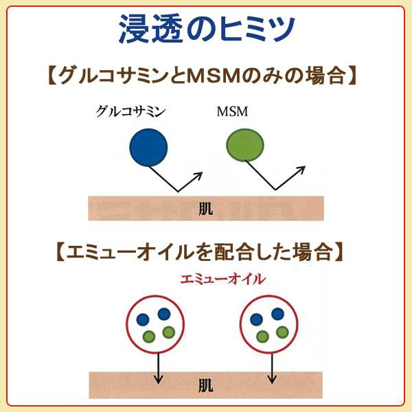 野口医学研究所 エミューオイル MSM マッサージ の通販はau PAY マーケット - とやまの薬＆和漢薬｜商品ロットナンバー グルコサミンダイレクト  85g 3個セット | 塗るグルコサミン グルコサミン 好評お得 - cta.org.mz