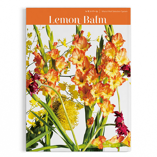 当日出荷 カタログギフト Mistral ミストラル レモンバームコース お中元 お歳暮 お返し 結婚 出産 挨拶 手土産 慶事 圧倒的高評価 Keita Com Br