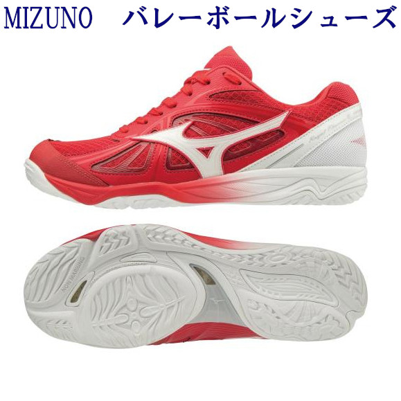 おすすめ ミズノ バレーボールシューズ ロイヤルフェニックス2 V1ga メンズ ユニセックス 19aw 同梱 Rfcl おしゃれ人気 Carlavista Com