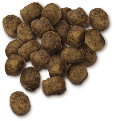 新しい到着 セレクトバランス パピー ラム 小粒 子犬 母犬用 7kg ドッグフード 数量限定 Www Iacymperu Org