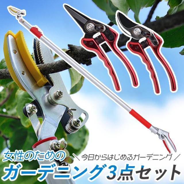 全国宅配無料 レディース園芸3点セット 3段伸縮式高枝切鋏 芽切鋏 小 剪定鋏 小 高枝切りバサミ 超軽量 伸縮 はさみ ガーデニング用品 枝切 ハサミ 楽天ランキング1位 Olsonesq Com