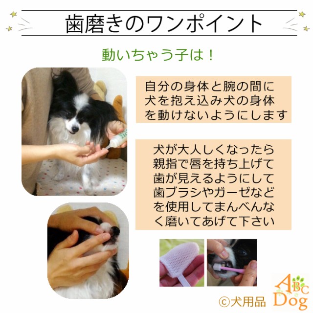 信頼 マジックゼオプロ業務用 送料無料 犬 猫 ペット 歯磨き粉 デンタルケア 歯石歯石取り 口臭予防 歯周病菌 ゼオライト 国産 Bayounyc Com