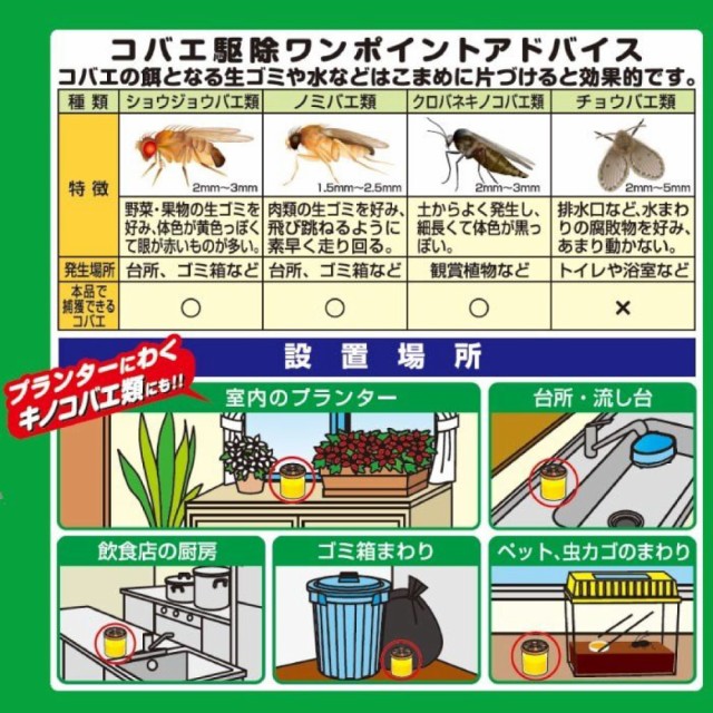 メール便全国送料無料 コバエとり 室内 置くだけ 10個セット 大容量 トラップ 日本製 在庫残りわずか Carlavista Com