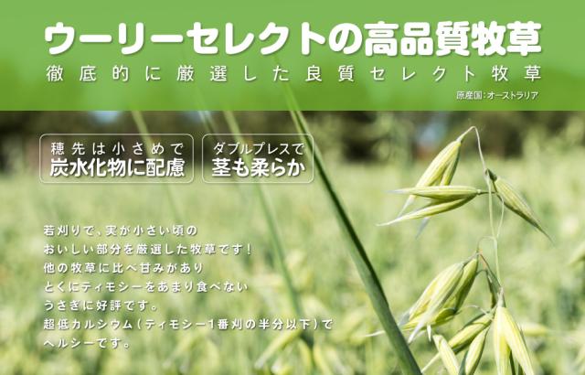 ウーリーのセレクト牧草 オーツヘイ 850gの通販はau Pay マーケット うさぎ専門店の食彩 Truegrasses 商品ロットナンバー
