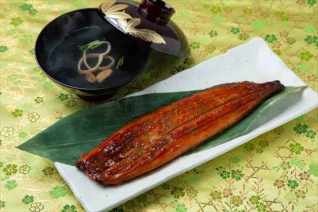 公式 激安販売 うなぎ シシャモ ウナギ セット ウナギ 海産品 鰻 産直 お祝 宮崎県産うなぎ2尾 肝吸付き 贈り物 山道養鰻場 ギフト 詰め合わせ 贈答 内祝い 御祝 お祝 買取 定価