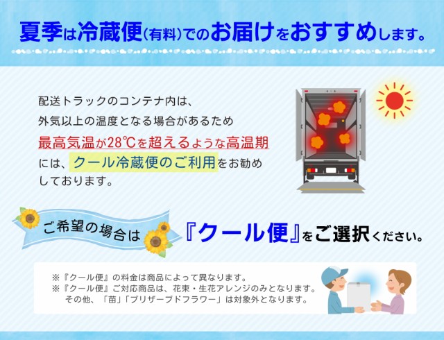 しきみ 根付き ２本セット 一対 生花 切り花 おしきみ おしきび シキミ シキビ 樒 お供え お悔やみ 仏壇 枝物 の通販はau Pay マーケット ファームフローラル 商品ロットナンバー