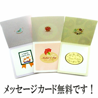 ではあまり 本べっ甲 和装に フォーマルな髪型にの通販はau PAY マーケット - べっ甲 珊瑚 水牛 真珠等 櫛 透かし入り コーム 茨布甲 ヘア アクセサリー (のし等ギフト対応無料) 黒留袖など正装から訪問着 ㊒トデー
