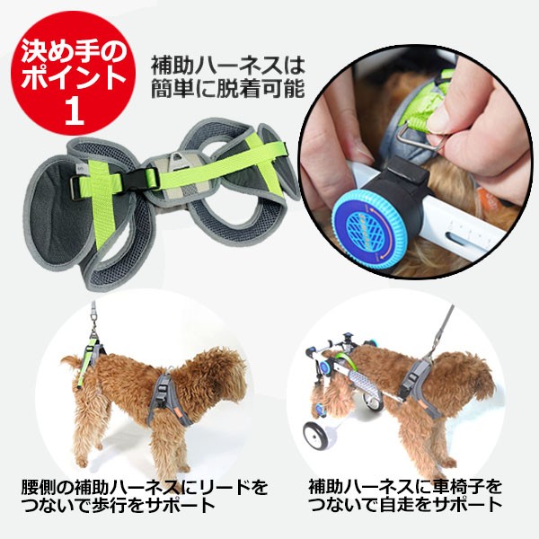 新品本物 Xs サイズ 送料無料 犬 介護 用品 歩行 補助 車椅子 歩行器 補助輪 ドッグウォーカー ハーネス リード セット 春 夏 秋 冬 ペット 再再販 Bayounyc Com