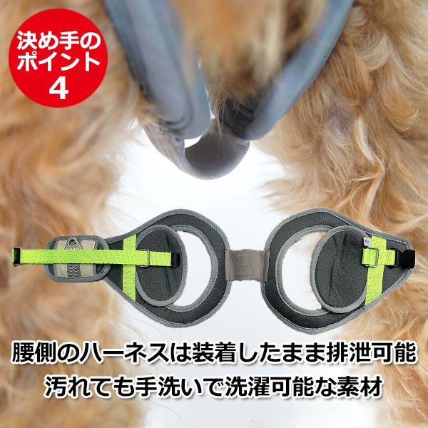 新品本物 Xs サイズ 送料無料 犬 介護 用品 歩行 補助 車椅子 歩行器 補助輪 ドッグウォーカー ハーネス リード セット 春 夏 秋 冬 ペット 再再販 Bayounyc Com