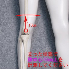 におすすめ 変形性膝関節症 マーケット コルセットミュージアム 商品ロットナンバー 固定