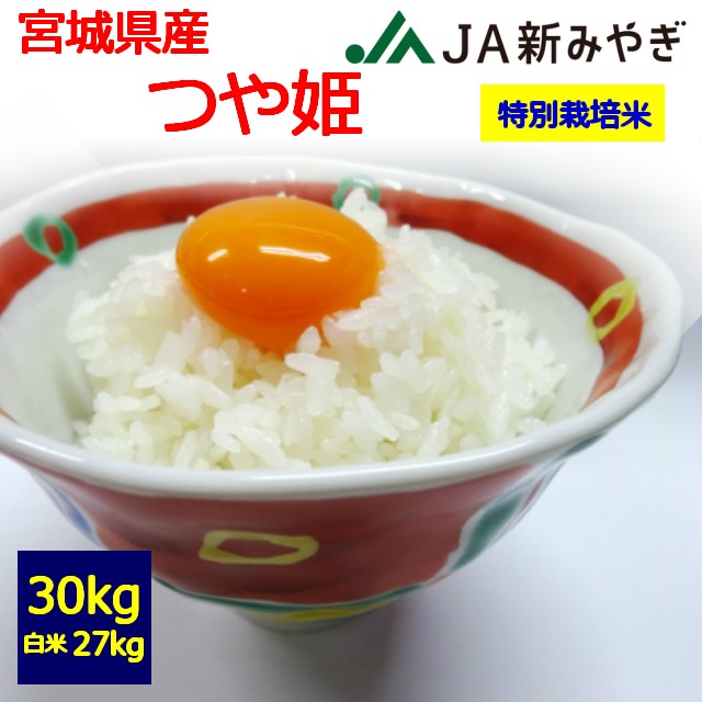 数量限定 特売 特別栽培米 令和２年産 送料無料 白米 栗っこ 宮城県産 つや姫 ３０kg お取り寄せ 30キロ お米 栗原市 Ja新みや 全商品オープニング価格特別価格 Bayounyc Com