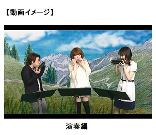 決算特価 送料無料 送料無料 Suzuki スズキ 入門dvd はじめてのコード バスハーモニカ 速達メール便送料無料 Arnabmobility Com