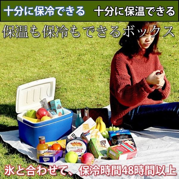 クーラーボックス 8l 保冷保温ボックス ポータブル ウォーマー おすすめ おしゃれ キャンプ 収納 パーツ カー用品 車中泊 車載用の通販はau Pay マーケット 青い手商店 商品ロットナンバー