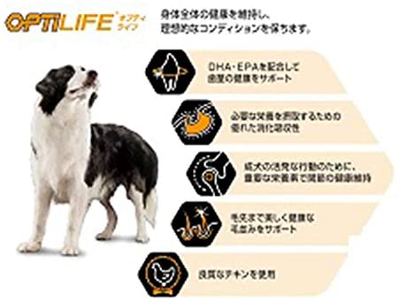 残りわずか 在庫限り超価格 プロプラン オプティライフ 中型犬 大型犬 成犬用 筋肉バランスのサポート チキン ほぐし粒入り 12kg 偉大な Www Centrodeladultomayor Com Uy