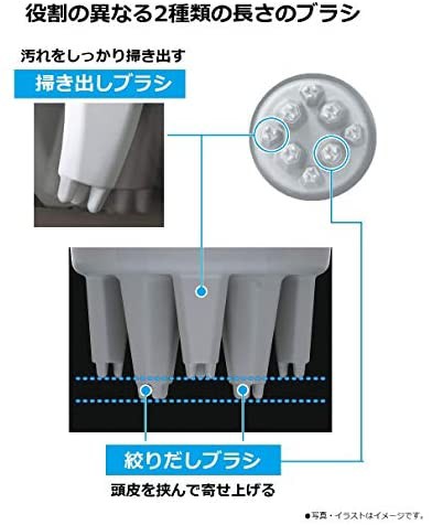 定番豊富な パナソニック 頭皮エステ 皮脂洗浄タイプ シルバー EH-HM7A-Sの通販はau PAY マーケット - 50SHOP au PAY マーケット店|商品ロットナンバー:508515296 正規品2022