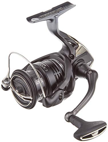 品質は非常に良い C3000mhg エクスセンス シーバス スピニングリール シマノ Shimano スピニングリール Tarquinhall Com