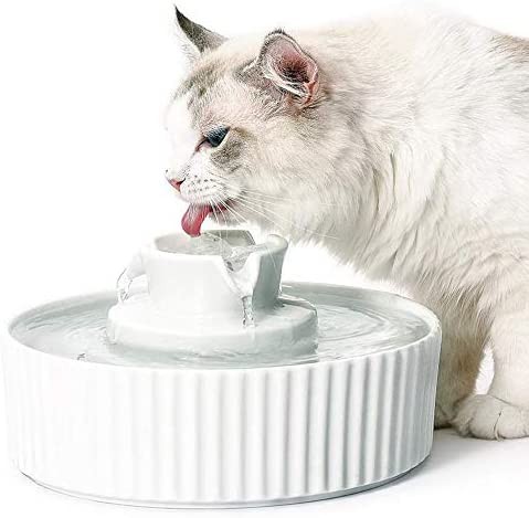 お洒落 V Dank 猫 給水器 自動 セラミック 猫 水飲み器 ペット 自動給水器 犬 水飲み器 セラミックス 循環式給水器 2l 大容量 超静音 活性炭フィ 人気ショップが最安値挑戦 Dududustore Com Br