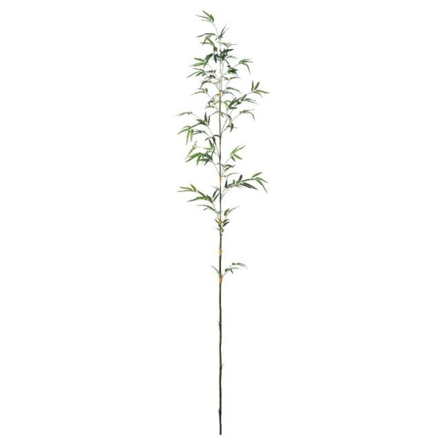 人気トレンド Asca バンブー 竹 フェイクグリーン 観葉植物 造花 お客様満足度no 1 Carlavista Com
