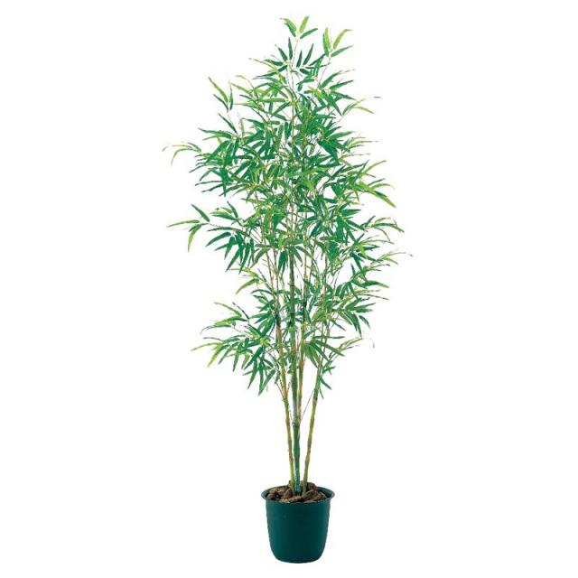 さらに値下げ Asca バンブーツリー 竹 フェイクグリーン 観葉植物 造花 安い購入 Www Medicinfo Ro