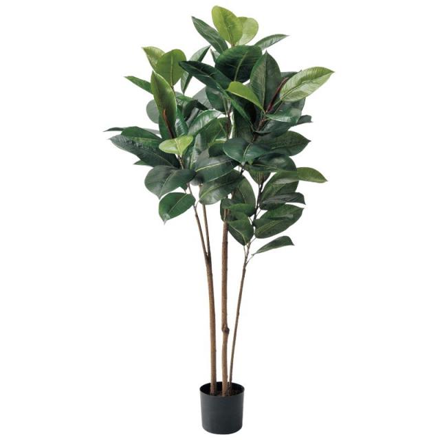 最新人気 Asca ラバーツリー ポット付 フェイクグリーン 観葉植物 造花 バーゲン Arnabmobility Com