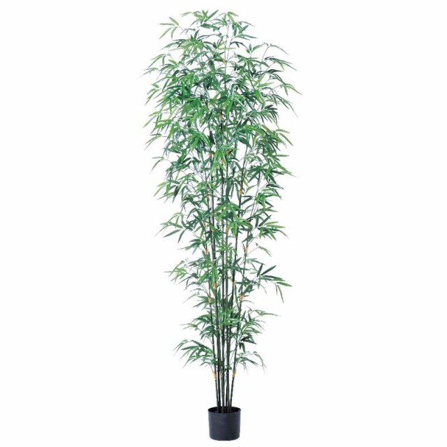 好評 Asca バンブーツリー ポット付 竹 フェイクグリーン 観葉植物 造花 予約販売品 Theblindtigerslidell Com