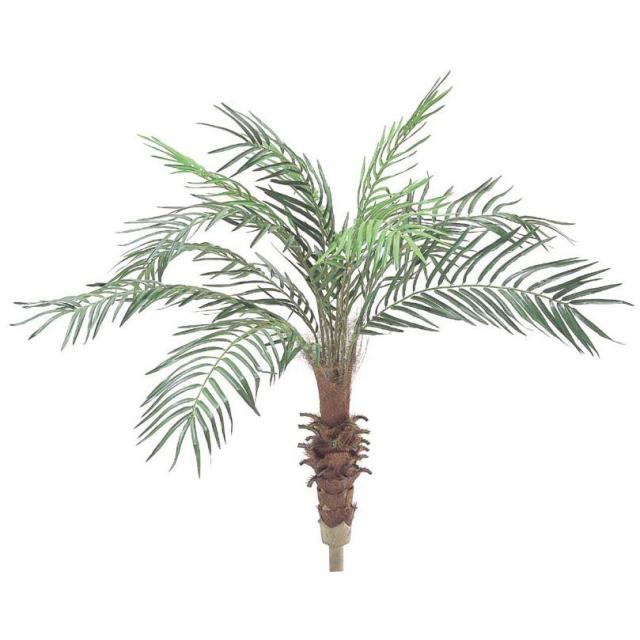 超特価激安 観葉植物 造花 フェニックスパームツリー S 115cm 人工観葉植物 フェイクグリーン 大型 光触媒 Ct触媒 インテリア G L 春バーゲン Carlavista Com 超特価激安 観葉植物 造花 フェニックスパームツリー S 115cm 人工観葉植物 フェイクグリーン 大型 光触媒 Ct触媒 インテリア G L 春バーゲン Carlavista Com