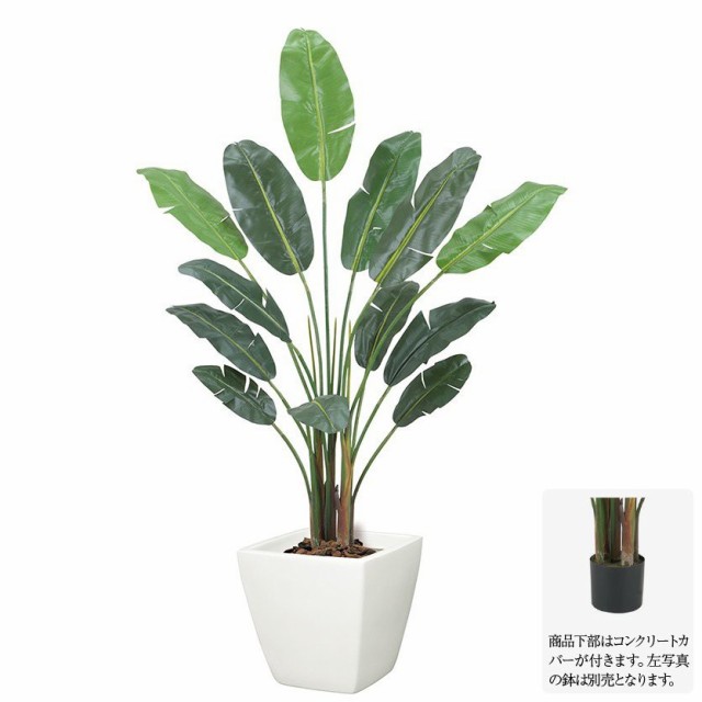 ランキング入賞商品 観葉植物 造花 大型 オーガスタツリー M 180cm 人工観葉植物 フェイクグリーン 光触媒 Ct触媒 インテリア G L 偉大な Inovapar Com Br