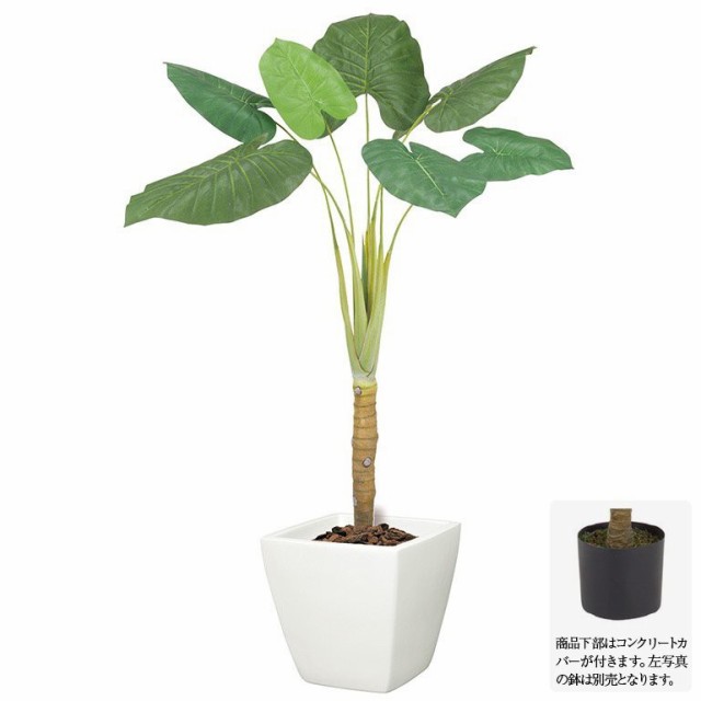 安心の定価販売 観葉植物 造花 大型 クワズイモ マーケット L170cm L170cm 観葉植物 人工観葉植物 フェイクグリーン 光触媒 Ct触媒 インテリア G L ストリート系b系通販 Asylum 1469dd Andersonareaymca Org