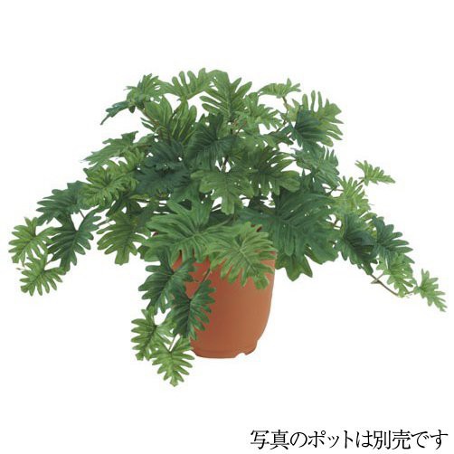 フェイクグリーン セロームブッシュ 55cm 観葉植物 造花 人工観葉植物 光触媒 Ct触媒 インテリア G L の通販はau Pay マーケット 神戸花物語 商品ロットナンバー