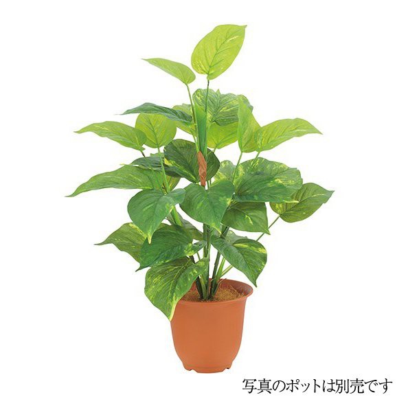 観葉植物 造花 屋外対応 エバーグリーンポトスブッシュ ウォータープルーフ 52cm 人工観葉植物 フェイクグリーン 光触媒 Ct触媒 イの通販はau Pay マーケット 神戸花物語 商品ロットナンバー