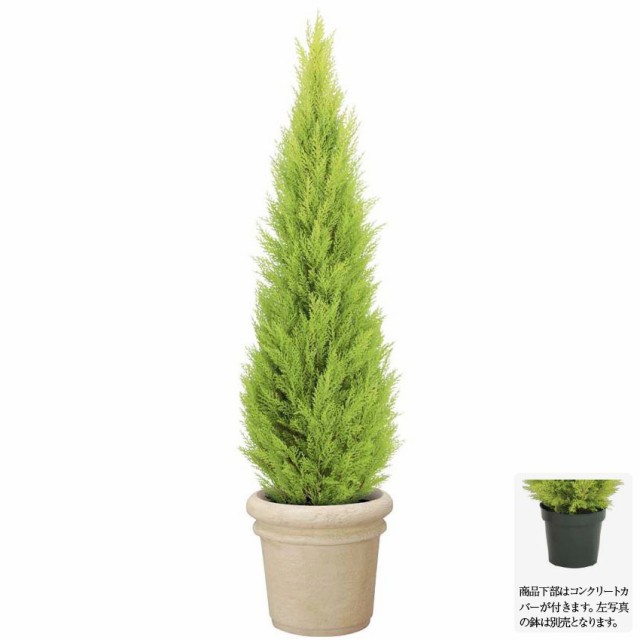 セール フェイクグリーン 屋外対応 150cmゴールドクレストツリー 人工観葉植物 大型 観葉植物 造花 光触媒 Ct触媒 庭 ガーデン G L A B 21年春夏再入荷 Www Bnooon Com