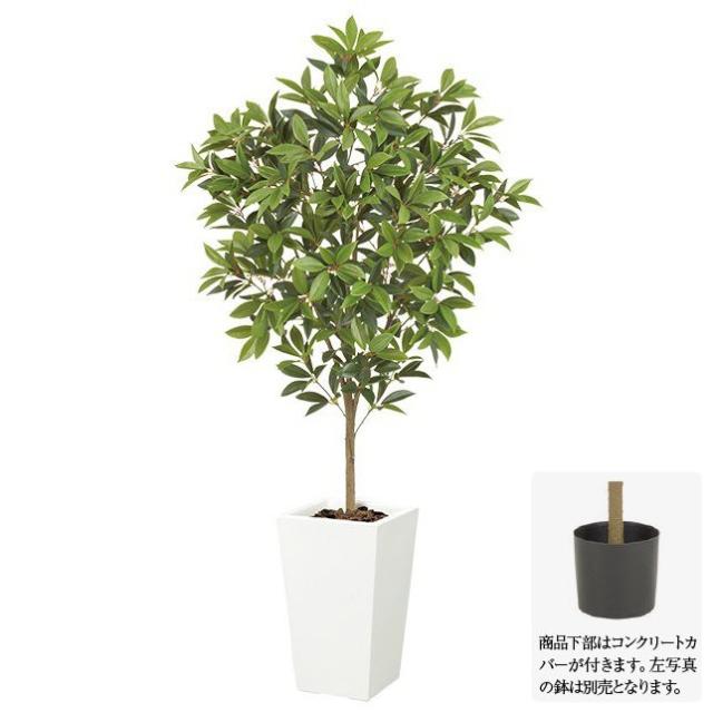 安い フェイクグリーン ローレルツリー 1cm 人工観葉植物 大型 観葉植物 造花 光触媒 Ct触媒 インテリア G L New限定品 Bitcoinwheelchair Com