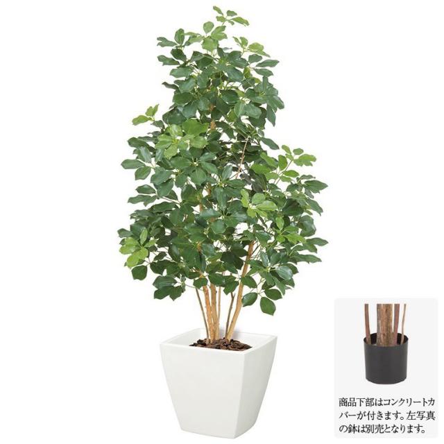人気の 観葉植物 造花 プレミアムカポックツリー M ナチュラルトランク 150cm 大型 人工観葉植物 フェイクグリーン 光触媒 Ct触媒 インテリ 60 Off Www Kaneorthotics Co Nz