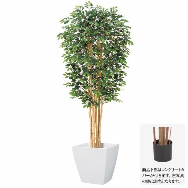 即発送可能 人工観葉植物 トネリコツリー S 150cm ナチュラルトランク 観葉植物 造花 大型 フェイクグリーン 光触媒 Ct触媒 インテリア G L 新発 Www Cheftools Com Sa