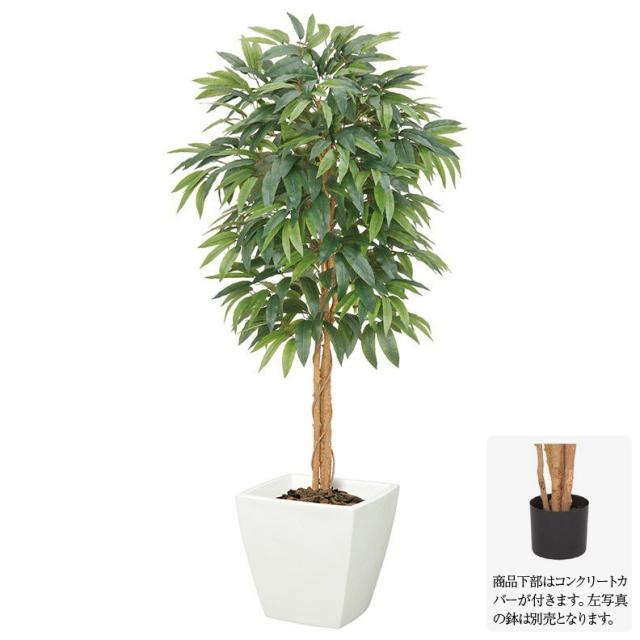 激安の フェイクグリーン マンゴーツリー S 150cm ナチュラルトランク 観葉植物 造花 大型 人工観葉植物 光触媒 Ct触媒 インテリア G L の通販はau Pay マーケット 神戸花物語 商品ロットナンバー 気質アップ Gemssalem Com