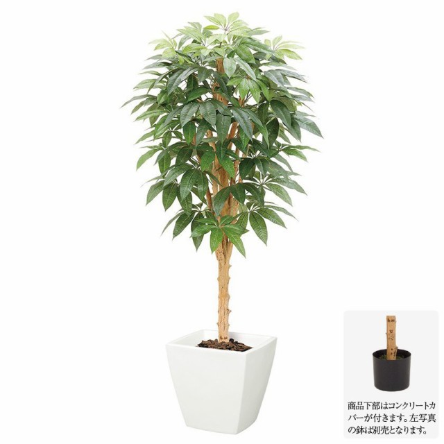 新商品 人工観葉植物 パキラツリー S 150cm ナチュラルトランク フェイクグリーン 大型 観葉植物 造花 光触媒 Ct触媒 インテリア G L 驚きの値段 Www Bnooon Com