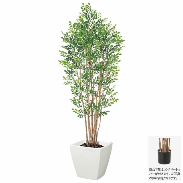 日本全国送料無料 人工観葉植物 大型 プレミアムトネリコツリー 170cm ナチュラルトランク 観葉植物 造花 フェイクグリーン 光触媒 Ct触媒 インテリア 50 Off Olsonesq Com