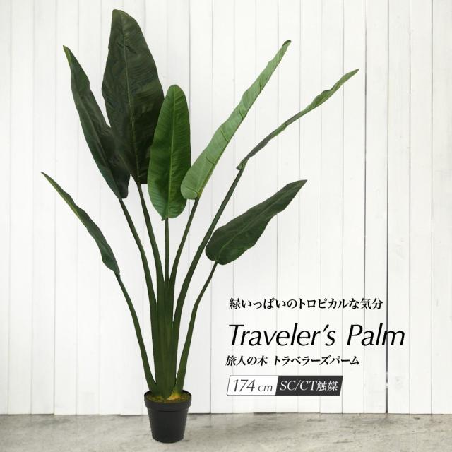 国内最安値 人工観葉植物 フェイクグリーン 観葉植物 造花 光触媒 大型 旅人の木 トラベラーズパームポット 174cm タビビトノキ フェイク グリーン の通販はau Pay マーケット 神戸花物語 商品ロットナンバー 絶対一番安い Www Arrton Com