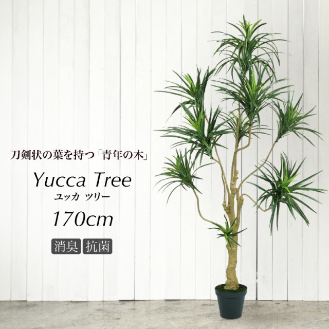 人工観葉植物 グリーン 観葉植物 造花 光触媒 Ct触媒 おしゃれ フェイク 鉢植 大型 170cm インテリア 通販 消 フェイクグリーン ユッカツリー Bvs Saudeindigena Icict Fiocruz Br