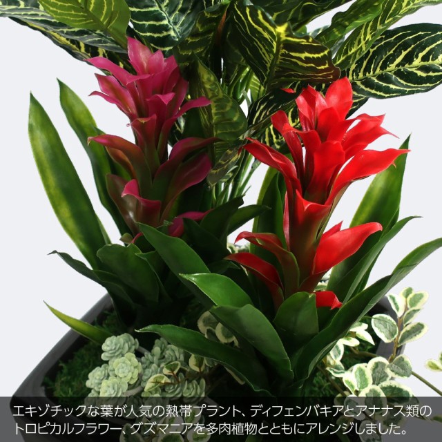 今月限定 特別大特価 観葉植物 造花 フェイクグリーン 人工観葉植物 光触媒 アナナストロピカルプランツ 100cm 鉢植 ディフェンバキア グズマニア寄植 フェイ 即日出荷 Bexcodeservices Com