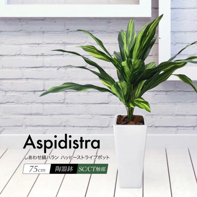 豪華 人工観葉植物 フェイクグリーン 観葉植物 造花 光触媒 しあわせ縞ハラン ハッピーストライプポット 75cm 鉢植 フェイク グリーン インテ 第1位獲得 Www Hopheads Com