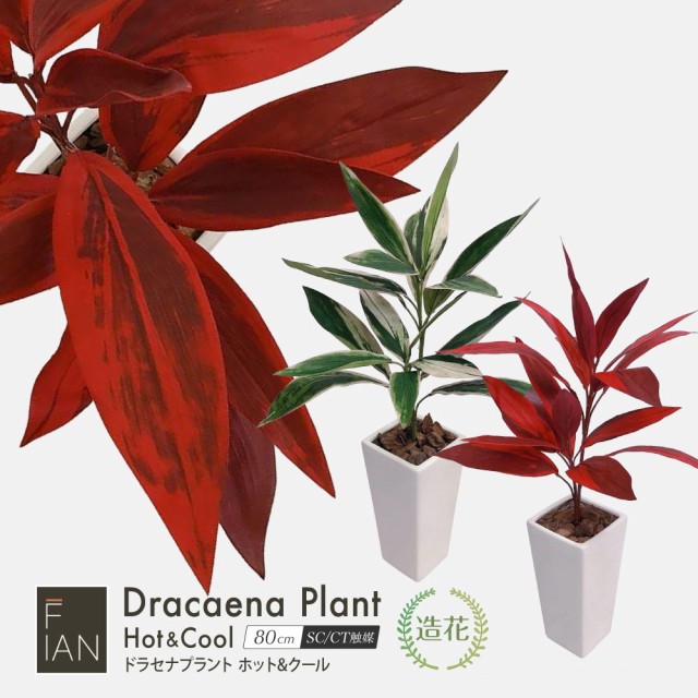 工場直送 人工観葉植物 Fian ドラセナプラント ホット クール 80cm 鉢植 コルディリネ サンデリアーナ フェイクグリーン 造花 観葉植物 光触媒 イ ランキング受賞 Arnabmobility Com