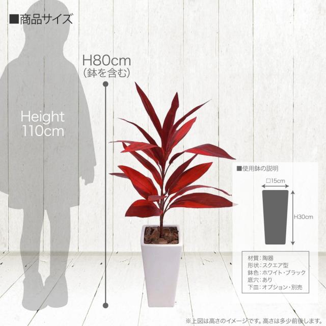 公式限定新作 送料無料 人工観葉植物 Fian ドラセナプラント ホット クール 80cm 鉢植 コルディリネ サンデリアーナ フェイクグリーン 造花 観葉植物 光触媒 イ 史上最も激安 Carlavista Com