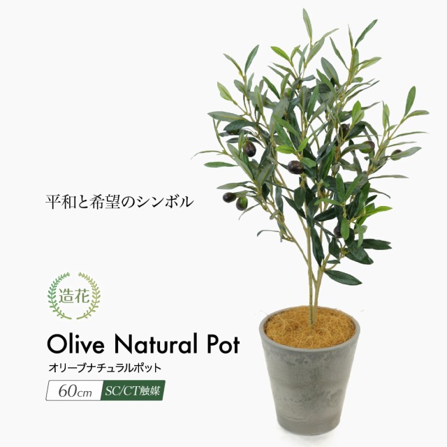 ラッピング無料 観葉植物 造花 フェイクグリーン 人工観葉植物 光触媒 オリーブツリー ナチュラルポット 60cm インテリア おしゃれ フェイク グリーン Ct 激安 即納 Wjelaser Com