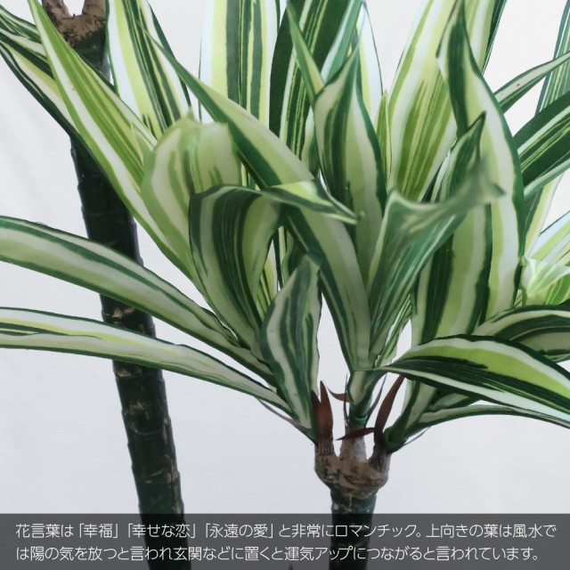 全国宅配無料 人工観葉植物 フェイクグリーン 観葉植物 造花 光触媒 大型 幸福の木 ドラセナ ラッキープラント 3本立 150cm 鉢植 インテリア おしゃれ 安い Olsonesq Com