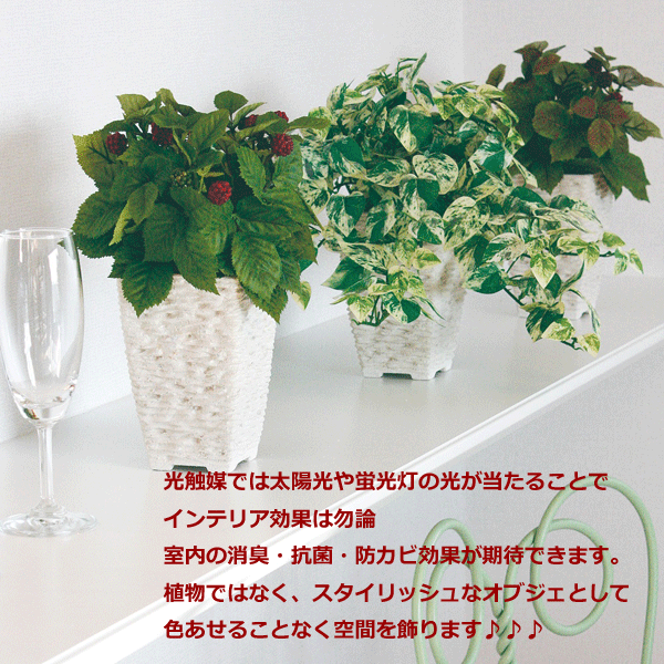 正規品 観葉植物 造花 ミニアイビーヘゴ 90cm 鉢植 フェイクグリーン 大型 樹木 Sc Ct触媒 光触媒 インテリア お祝い 爆売り Olsonesq Com