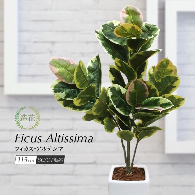 在庫処分特価 人工観葉植物 フェイクグリーン 観葉植物 造花 光触媒 フィカス アルテシマ 115cm 鉢植 インテリア フェイク グリーン Ct触媒 お祝い おすすめ Mawaredenergy Com