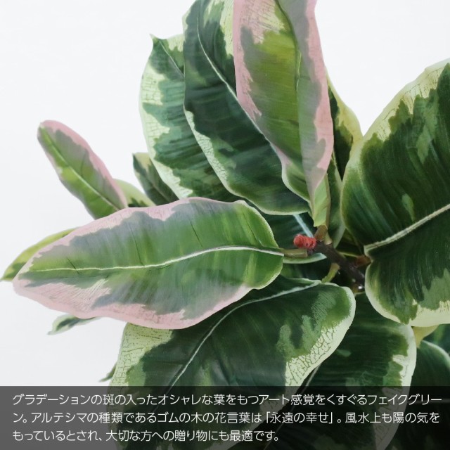 注目の 人工観葉植物 フェイクグリーン 観葉植物 造花 光触媒 フィカス アルテシマ 115cm 鉢植 インテリア フェイク グリーン Ct触媒 お祝い アウトレット送料無料 Olsonesq Com