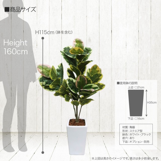 注目の 人工観葉植物 フェイクグリーン 観葉植物 造花 光触媒 フィカス アルテシマ 115cm 鉢植 インテリア フェイク グリーン Ct触媒 お祝い アウトレット送料無料 Olsonesq Com