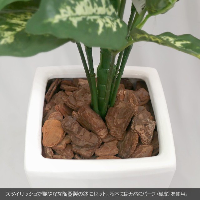 ロングセラー 人工観葉植物 フェイクグリーン 観葉植物 造花 光触媒 大型 ディフェンバキア 110cm 鉢植 インテリア おしゃれ フェイク グリーン Ct触媒 完売 Carlavista Com